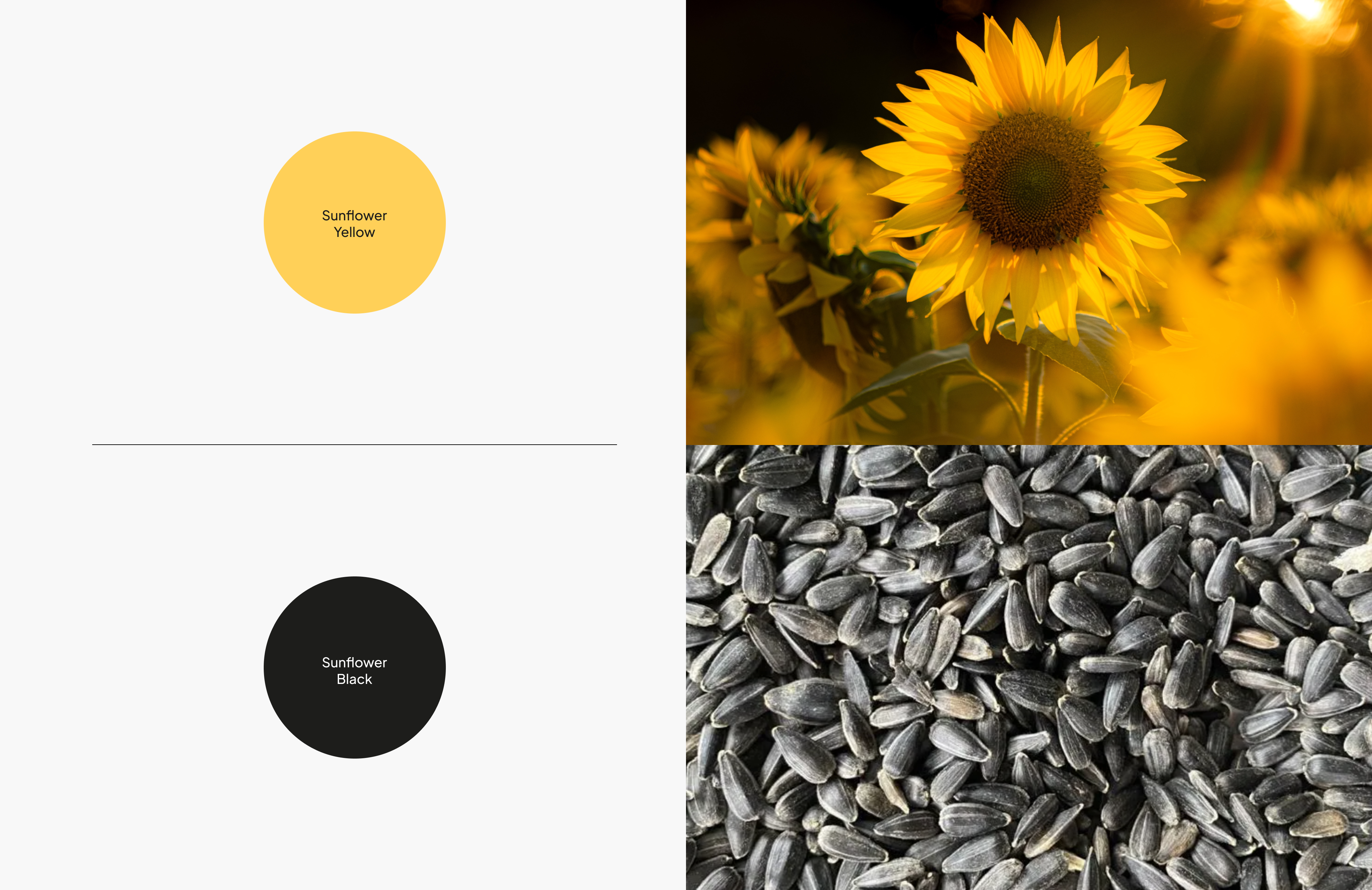 Farbenfrohes Design von Monospace