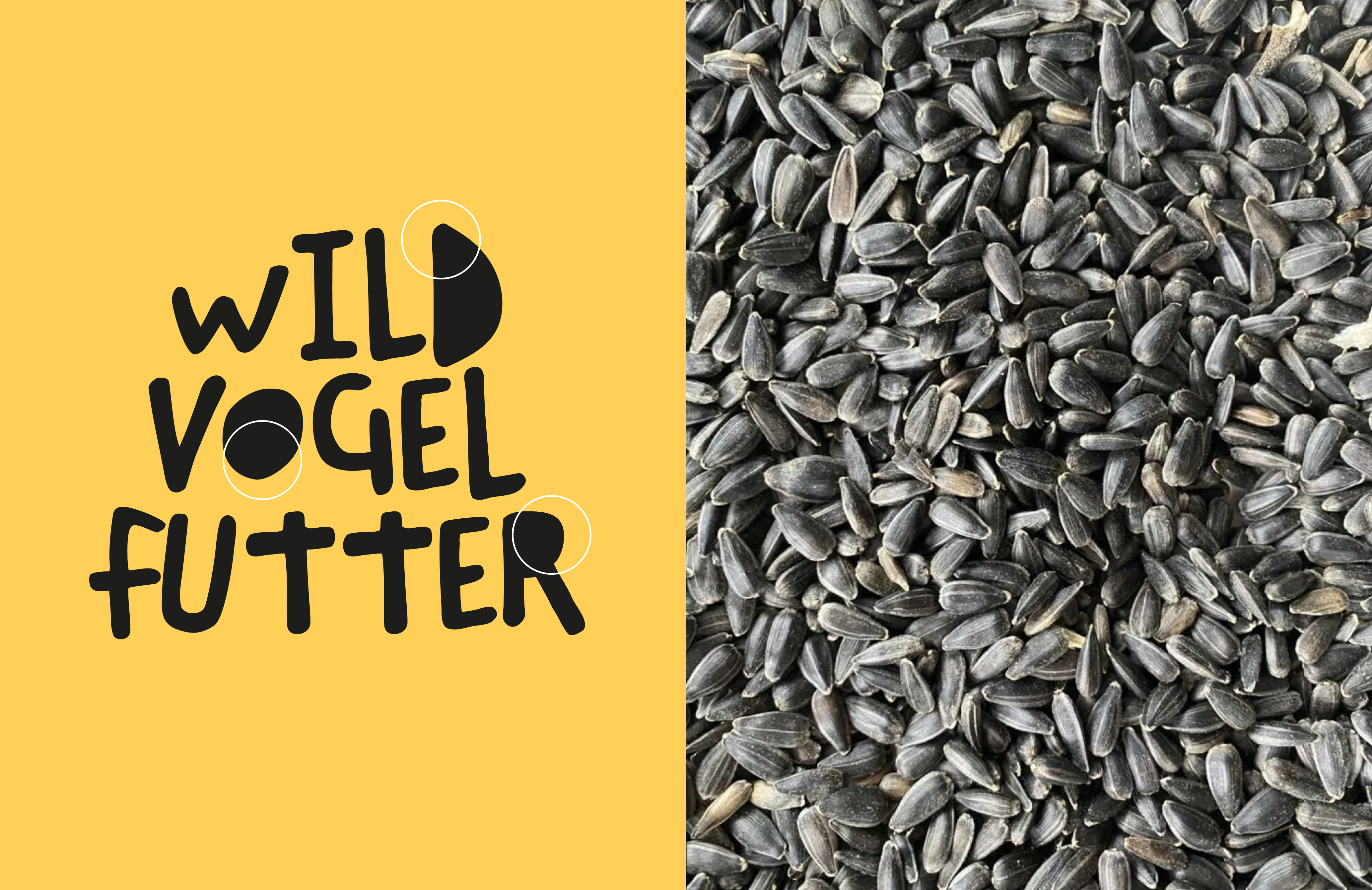 Kreatives Design und Typografie Konzept Bild